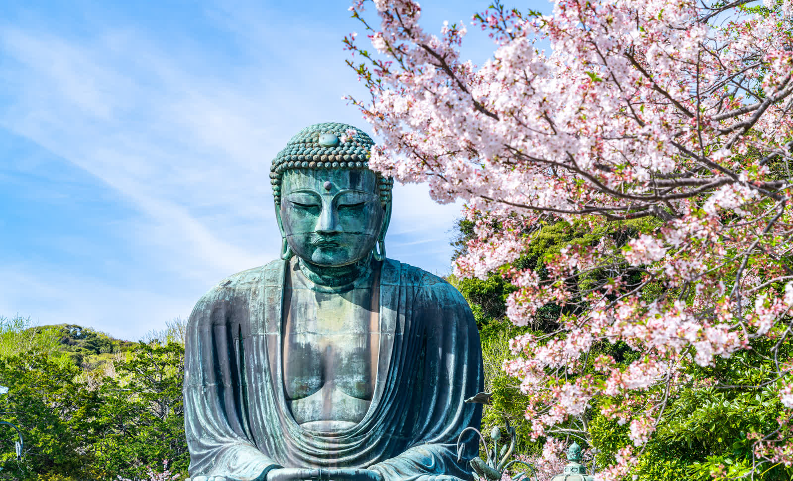 The Great Buddha of Kamakura, Amida Nyorai, framed by cherry blossom in full bloom, Kōtoku-in