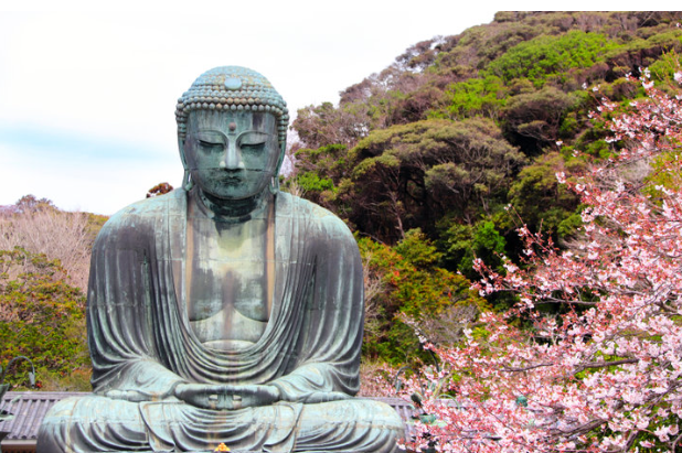 The Great Buddha of Kamakura, Amida Nyorai, with cherry blossoms, Kōtoku-in